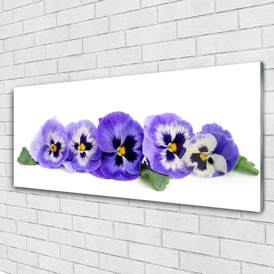 Foto schilderij op glas Bloemblaadjes pansies