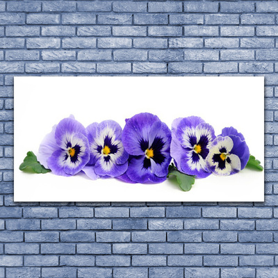 Foto schilderij op glas Bloemblaadjes pansies