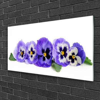 Foto schilderij op glas Bloemblaadjes pansies