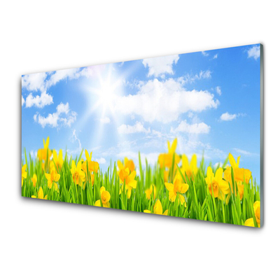 Foto schilderij op glas Narcissen meadow grass nature