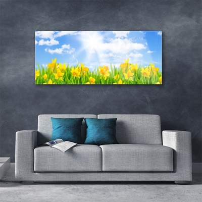 Foto schilderij op glas Narcissen meadow grass nature