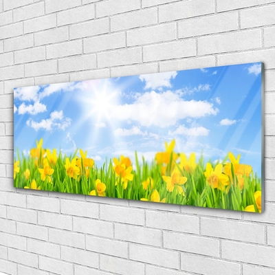 Foto schilderij op glas Narcissen meadow grass nature