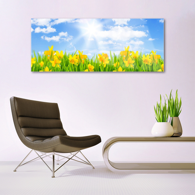 Foto schilderij op glas Narcissen meadow grass nature