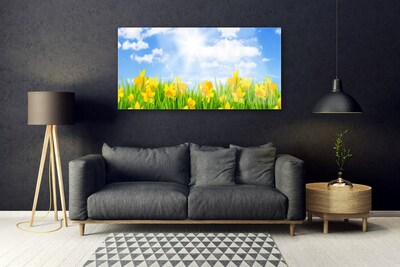 Foto schilderij op glas Narcissen meadow grass nature