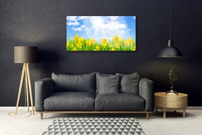 Foto schilderij op glas Narcissen meadow grass nature