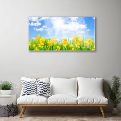 Foto schilderij op glas Narcissen meadow grass nature