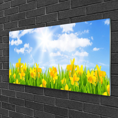 Foto schilderij op glas Narcissen meadow grass nature