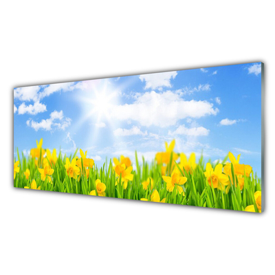 Foto schilderij op glas Narcissen meadow grass nature