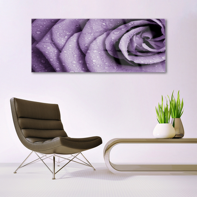Foto schilderij op glas Rose flower plant