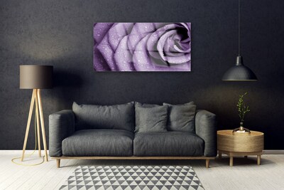 Foto schilderij op glas Rose flower plant