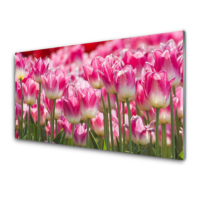 Foto schilderij op glas Tulpen bloemen nature