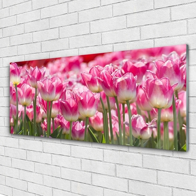 Foto schilderij op glas Tulpen bloemen nature