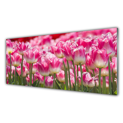 Foto schilderij op glas Tulpen bloemen nature