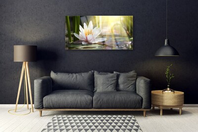 Foto schilderij op glas Zon water lily pond