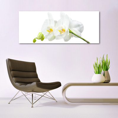 Foto schilderij op glas Bloemblaadjes witte orchidee