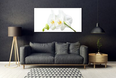 Foto schilderij op glas Bloemblaadjes witte orchidee