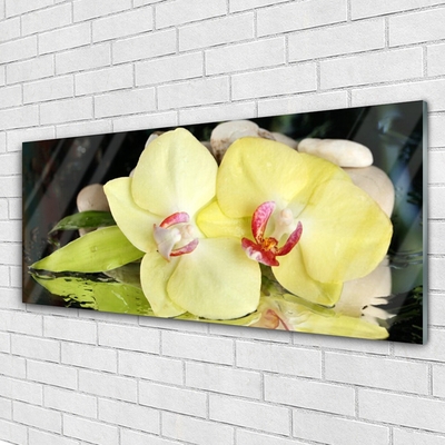 Foto schilderij op glas Orchidee bloemblaadjes