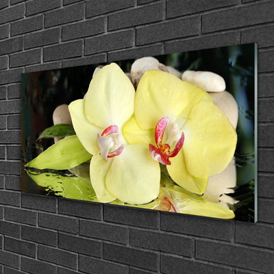 Foto schilderij op glas Orchidee bloemblaadjes