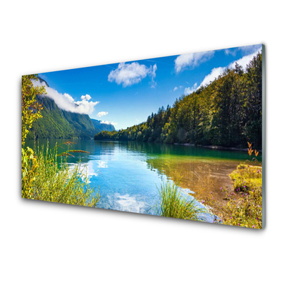 Foto schilderij op glas Natuur bergen forest lake
