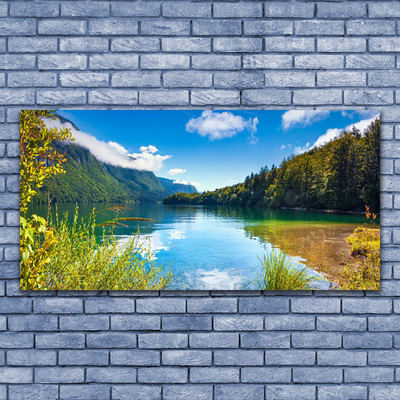 Foto schilderij op glas Natuur bergen forest lake