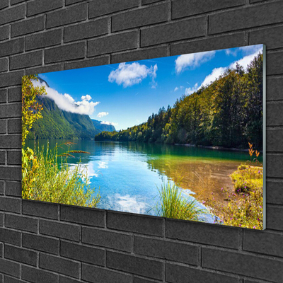 Foto schilderij op glas Natuur bergen forest lake