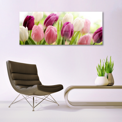 Foto schilderij op glas Tulpen bloemen nature meadow