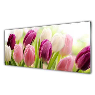 Foto schilderij op glas Tulpen bloemen nature meadow