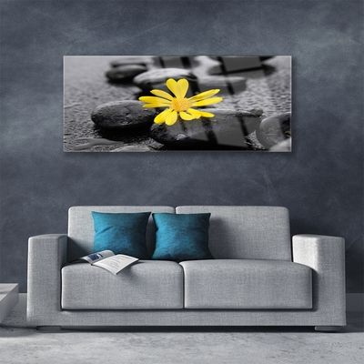 Foto schilderij op glas Gele bloem nature spa