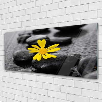 Foto schilderij op glas Gele bloem nature spa