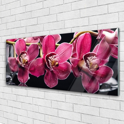 Foto schilderij op glas Orchideebloemen nature shoots