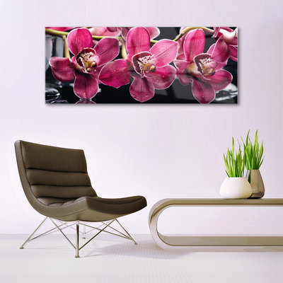 Foto schilderij op glas Orchideebloemen nature shoots