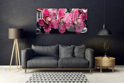 Foto schilderij op glas Orchideebloemen nature shoots