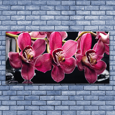 Foto schilderij op glas Orchideebloemen nature shoots