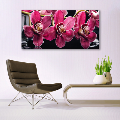 Foto schilderij op glas Orchideebloemen nature shoots