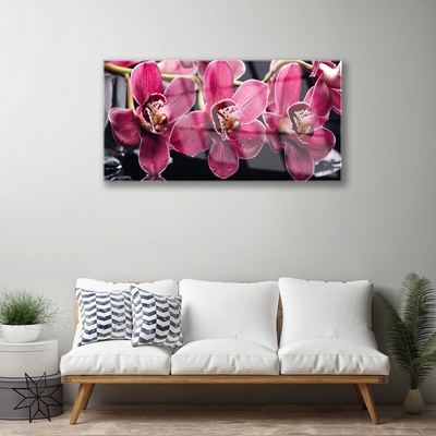 Foto schilderij op glas Orchideebloemen nature shoots