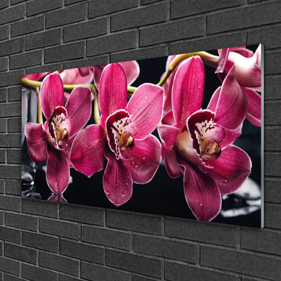 Foto schilderij op glas Orchideebloemen nature shoots