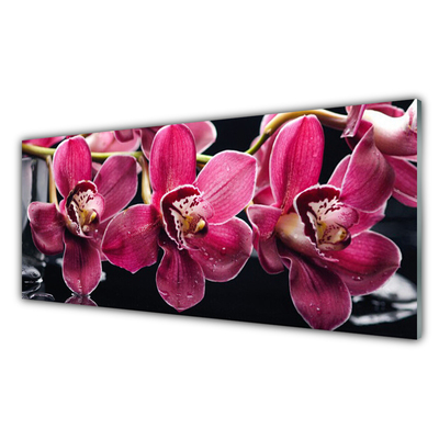 Foto schilderij op glas Orchideebloemen nature shoots