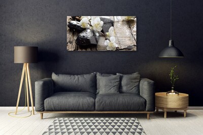 Foto schilderij op glas Bloemen fruit twig