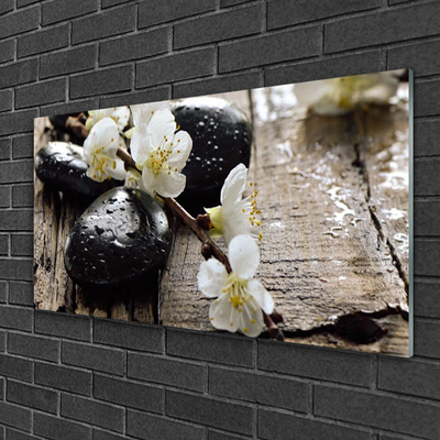 Foto schilderij op glas Bloemen fruit twig