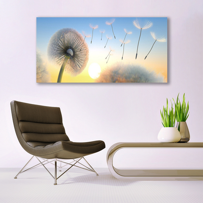 Foto schilderij op glas Dandelion flower plant