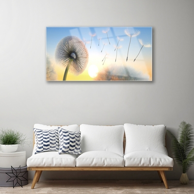 Foto schilderij op glas Dandelion flower plant