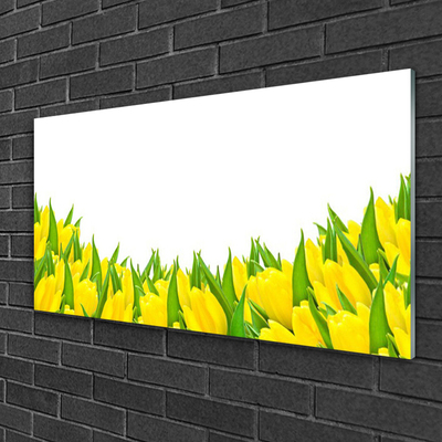 Foto schilderij op glas Tulpen bloemen nature