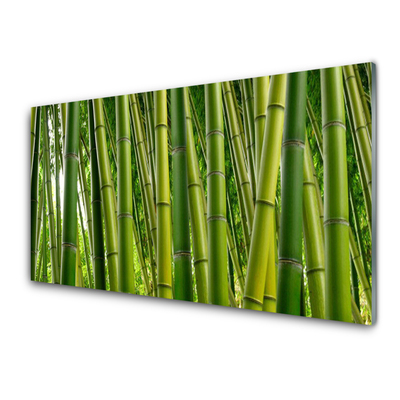 Foto schilderij op glas Bamboo shoots bamboo forest