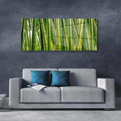 Foto schilderij op glas Bamboo shoots bamboo forest