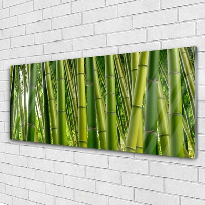 Foto schilderij op glas Bamboo shoots bamboo forest