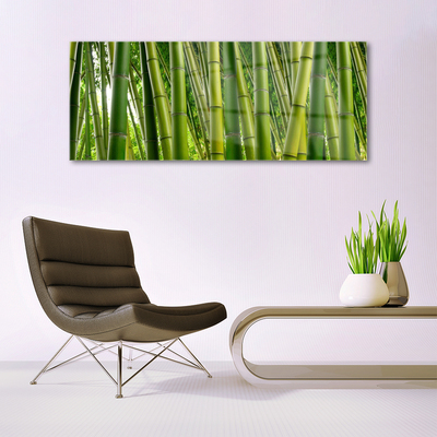 Foto schilderij op glas Bamboo shoots bamboo forest