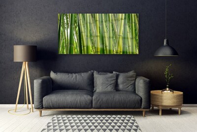 Foto schilderij op glas Bamboo shoots bamboo forest