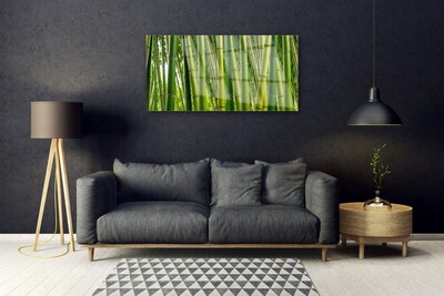 Foto schilderij op glas Bamboo shoots bamboo forest