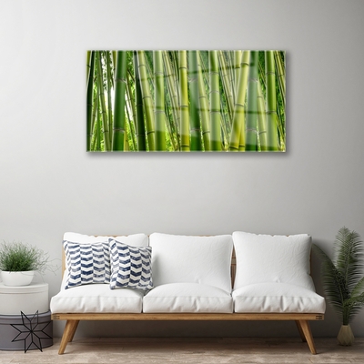 Foto schilderij op glas Bamboo shoots bamboo forest