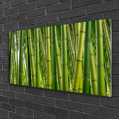 Foto schilderij op glas Bamboo shoots bamboo forest